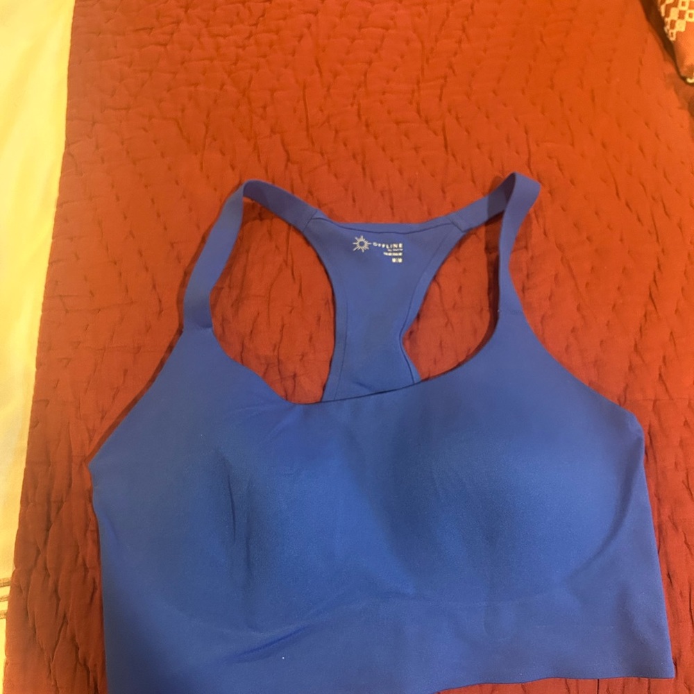 Aerie Blue Sports Bra